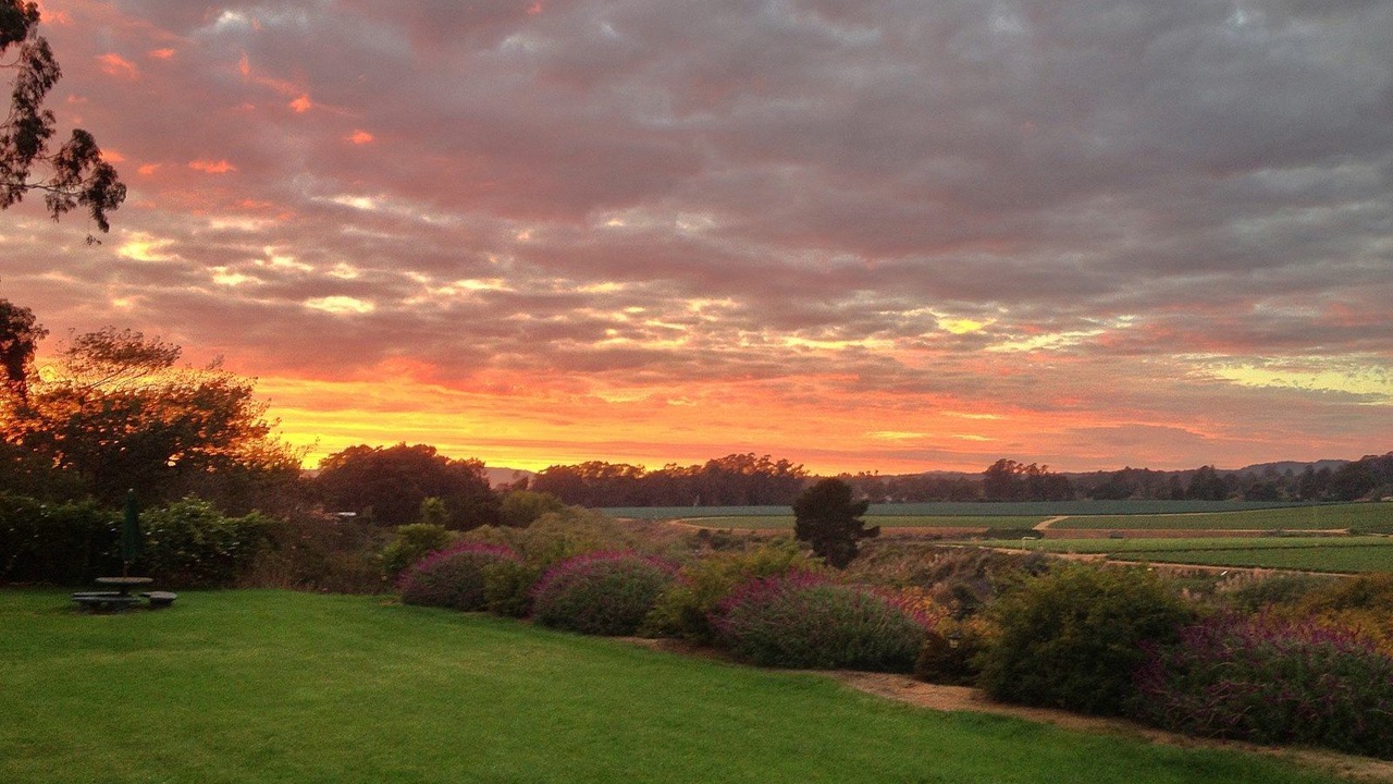 Photo of Outdoor in La Selva Beach