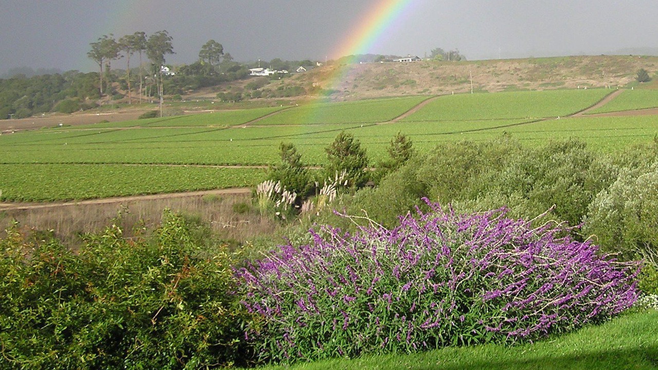 Photo of Outdoor in La Selva Beach