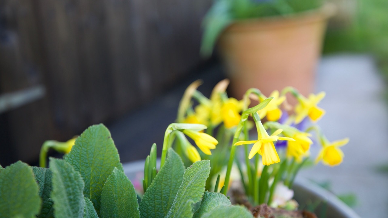 Photo of Outdoor in Par