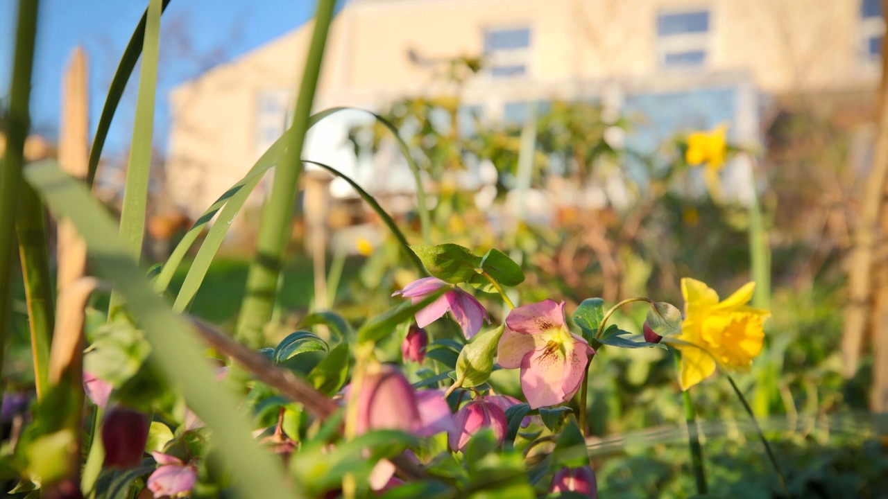 Photo of Outdoor in Par