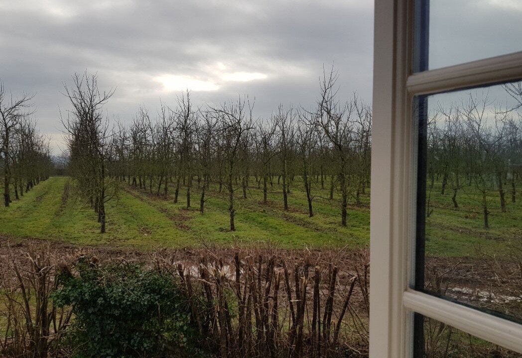 Photo of Others in Ledbury