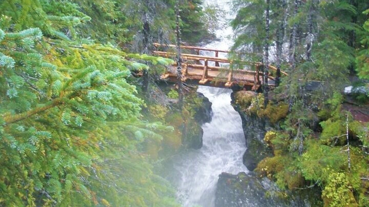 Photo of Others in Alyeska