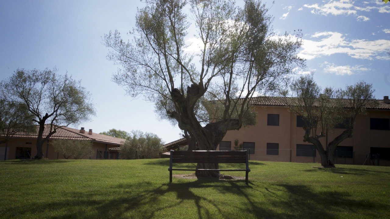 Photo of Outdoor in Santa Maria de Solius