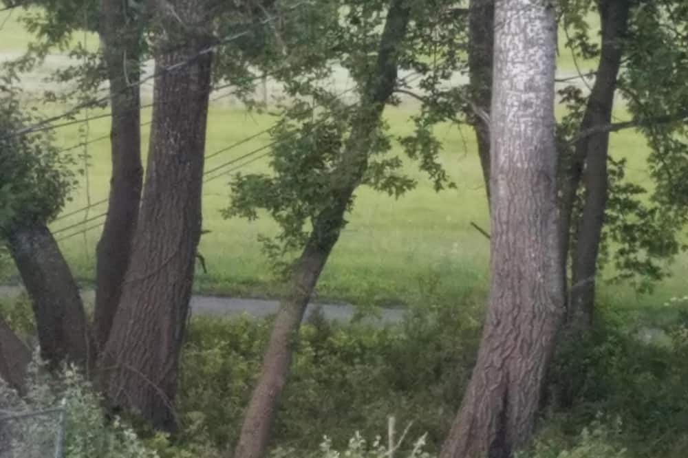 Photo of Others in Freeport