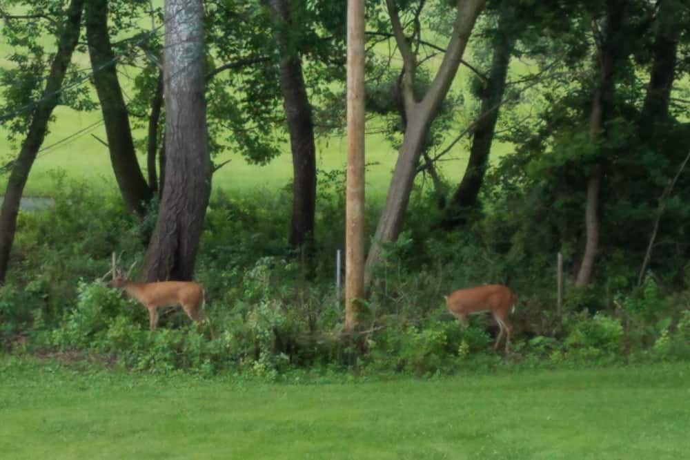 Photo of Others in Freeport