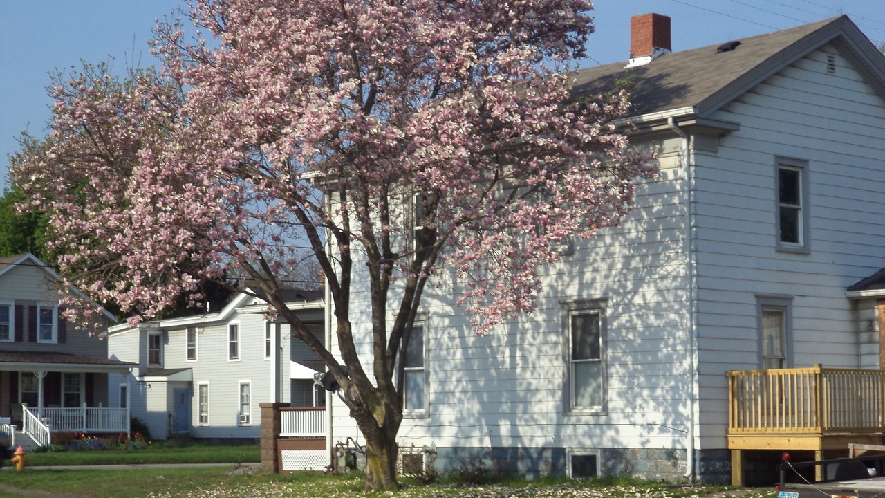 Photo of Outdoor in Conneaut