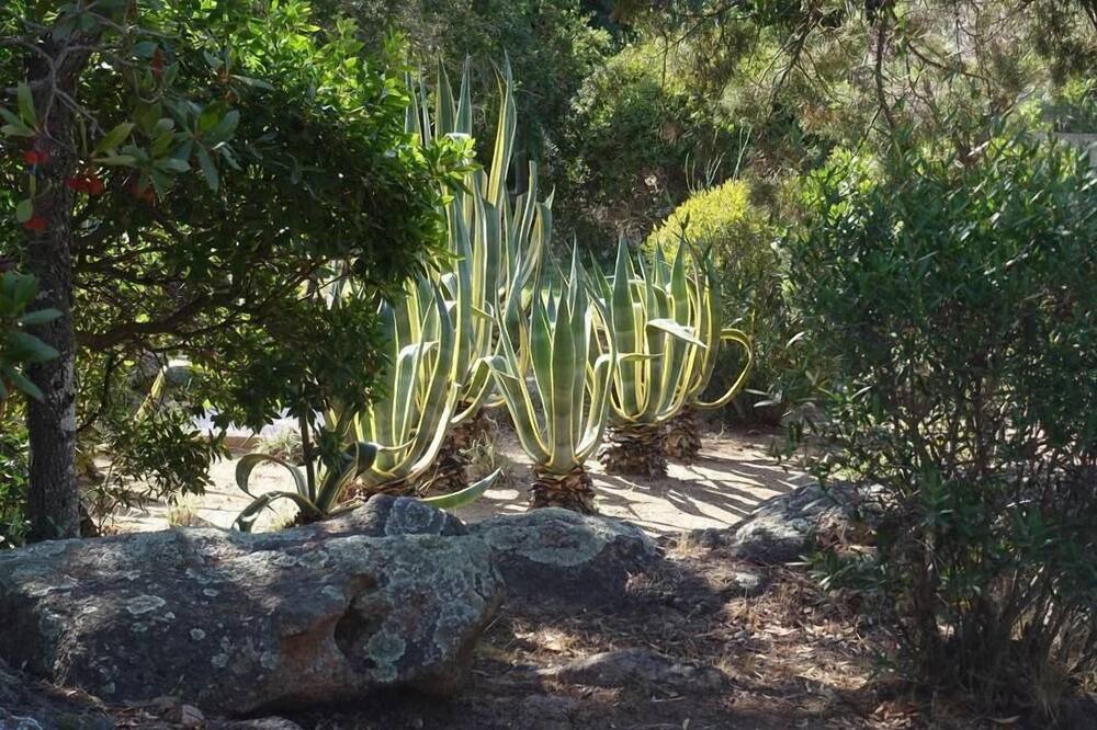 Photo of Outdoor in Santa Giulia