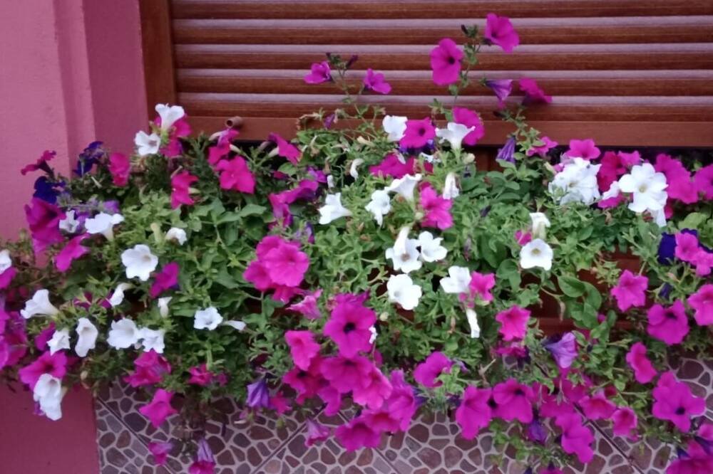 Photo of Outdoor in Itxassou