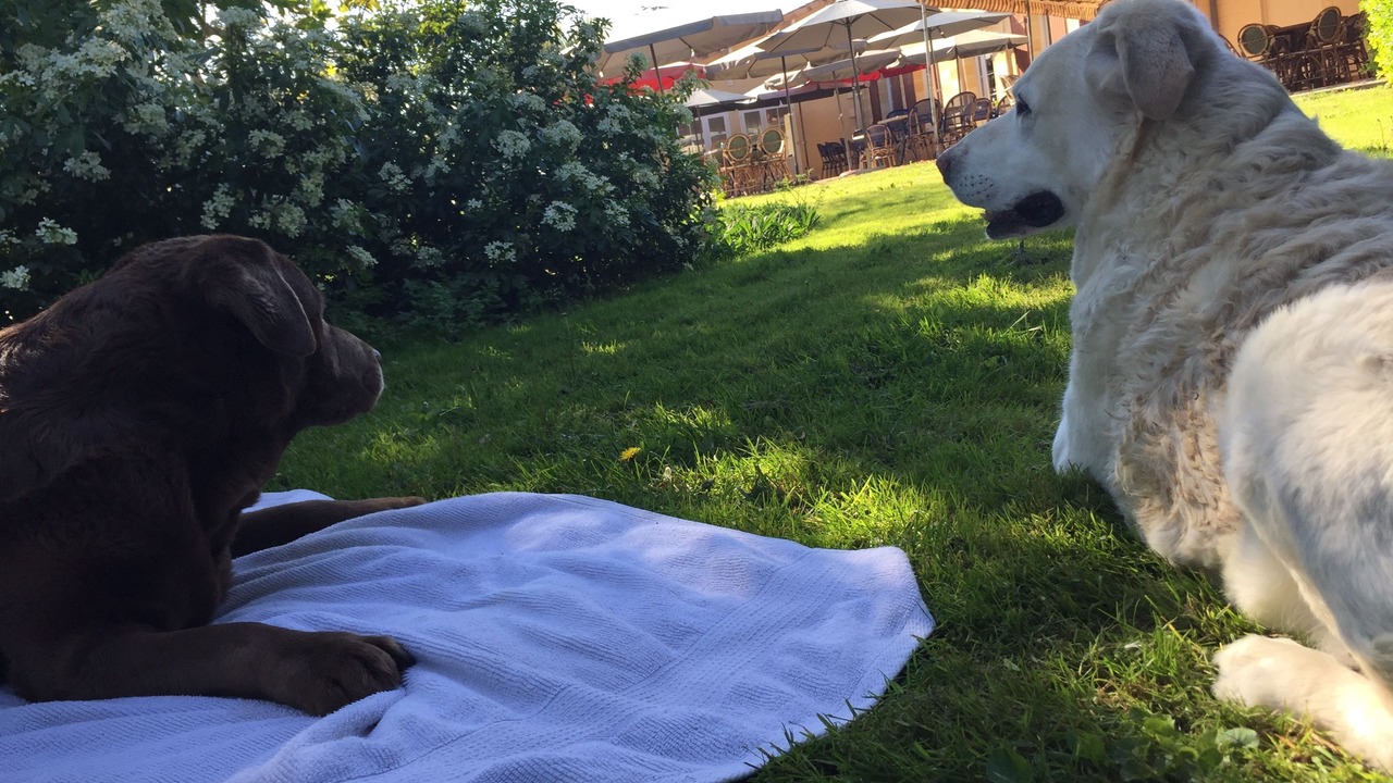 Photo of Outdoor in Sainte-Terre