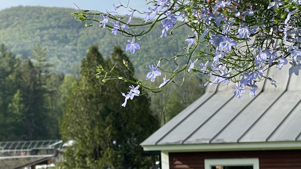 Photo of Outdoor in Waitsfield