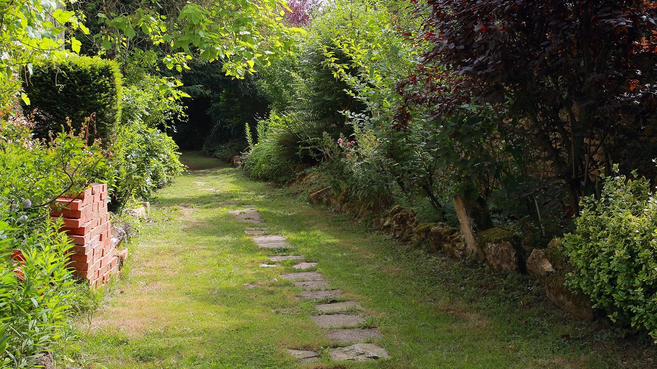 Photo of Outdoor in Latille