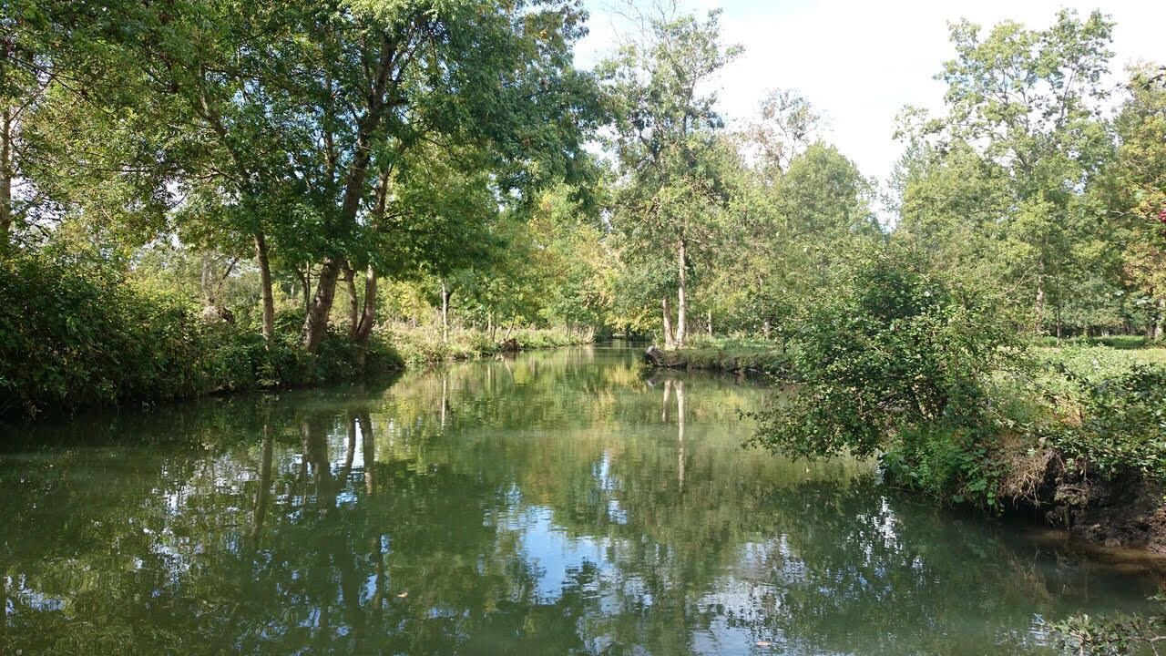 Photo of Others in Latille