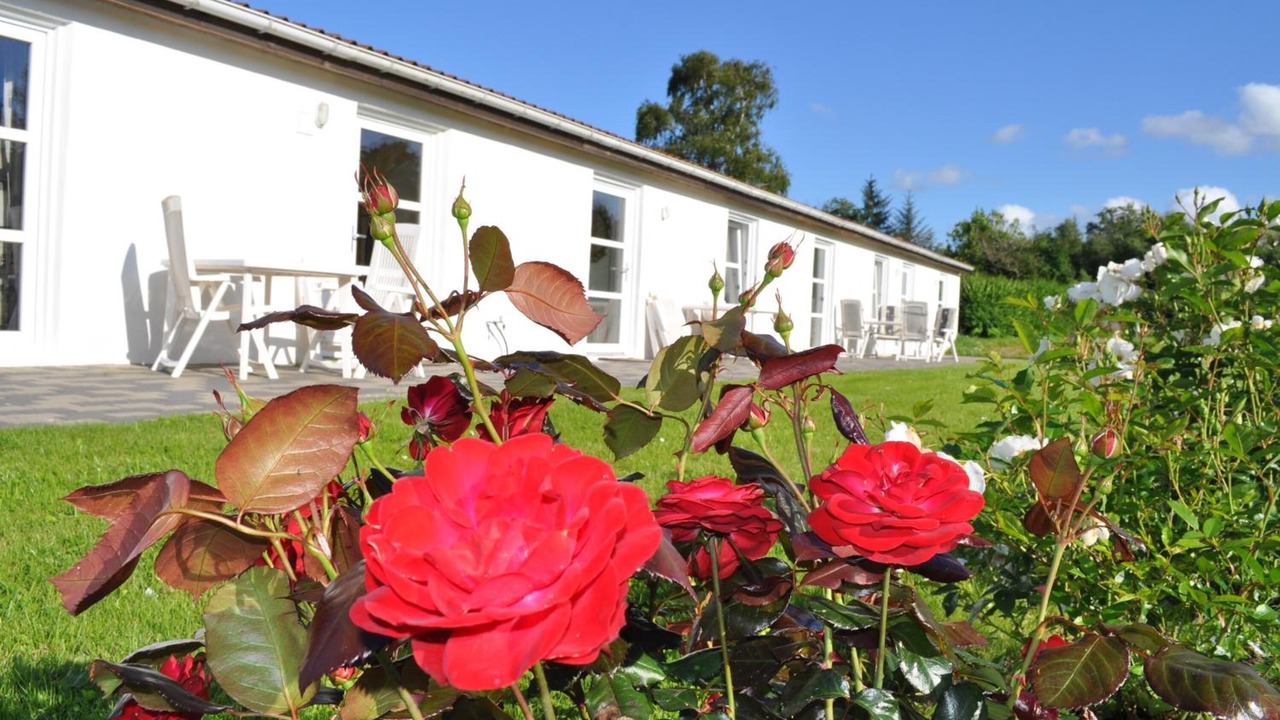 Photo of Outdoor in Rodding