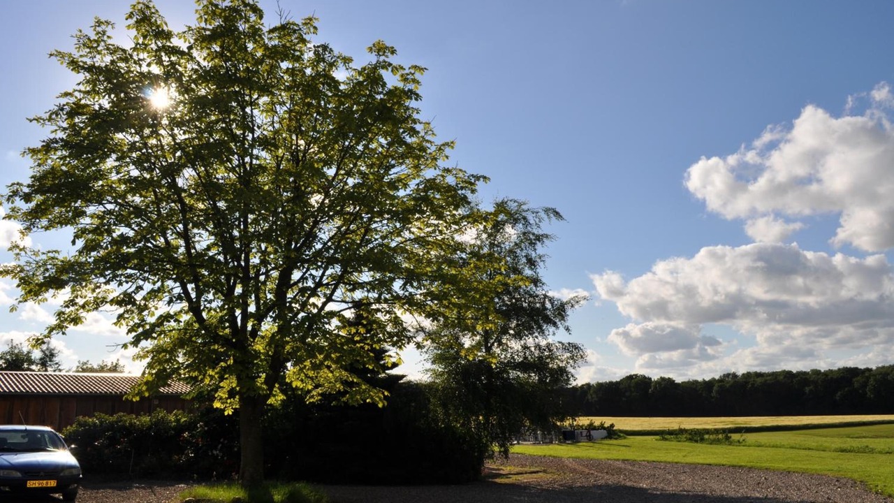 Photo of Outdoor in Rodding