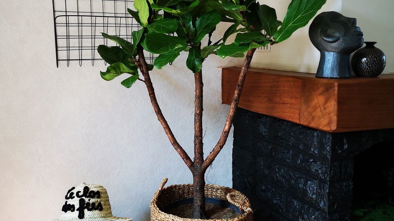 Photo of Others in Asnieres-sur-Oise