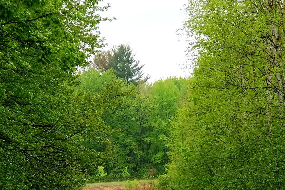 Photo of Outdoor in Black River Falls