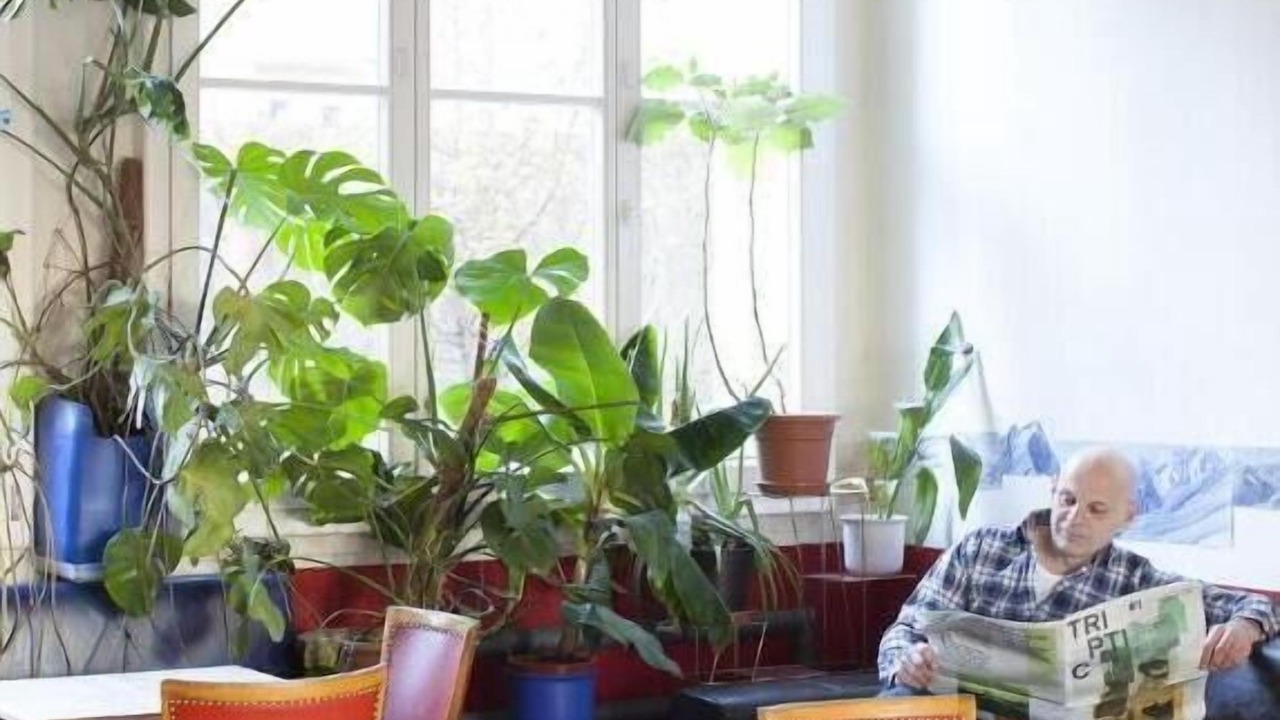 Photo of Others in Gundeldingen