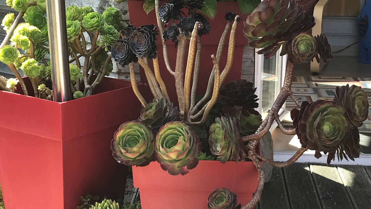 Photo of Outdoor in Ploubazlanec