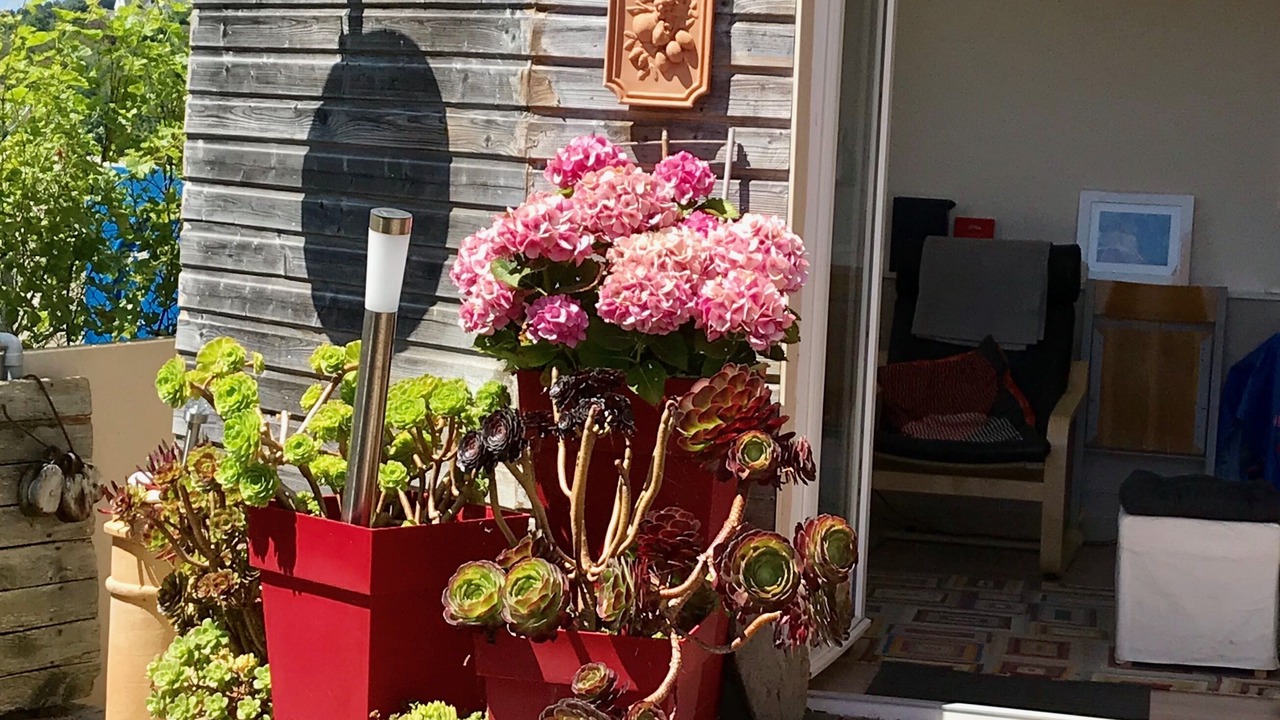 Photo of Outdoor in Ploubazlanec