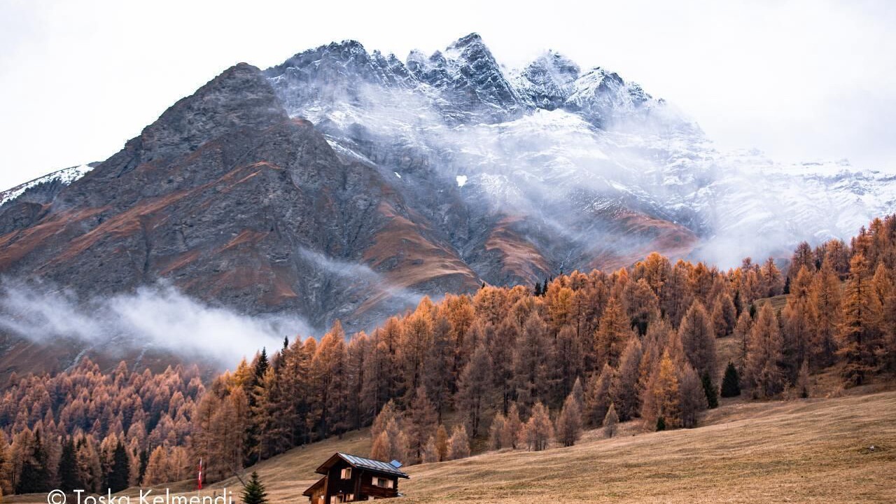 Photo of Others in Guarda