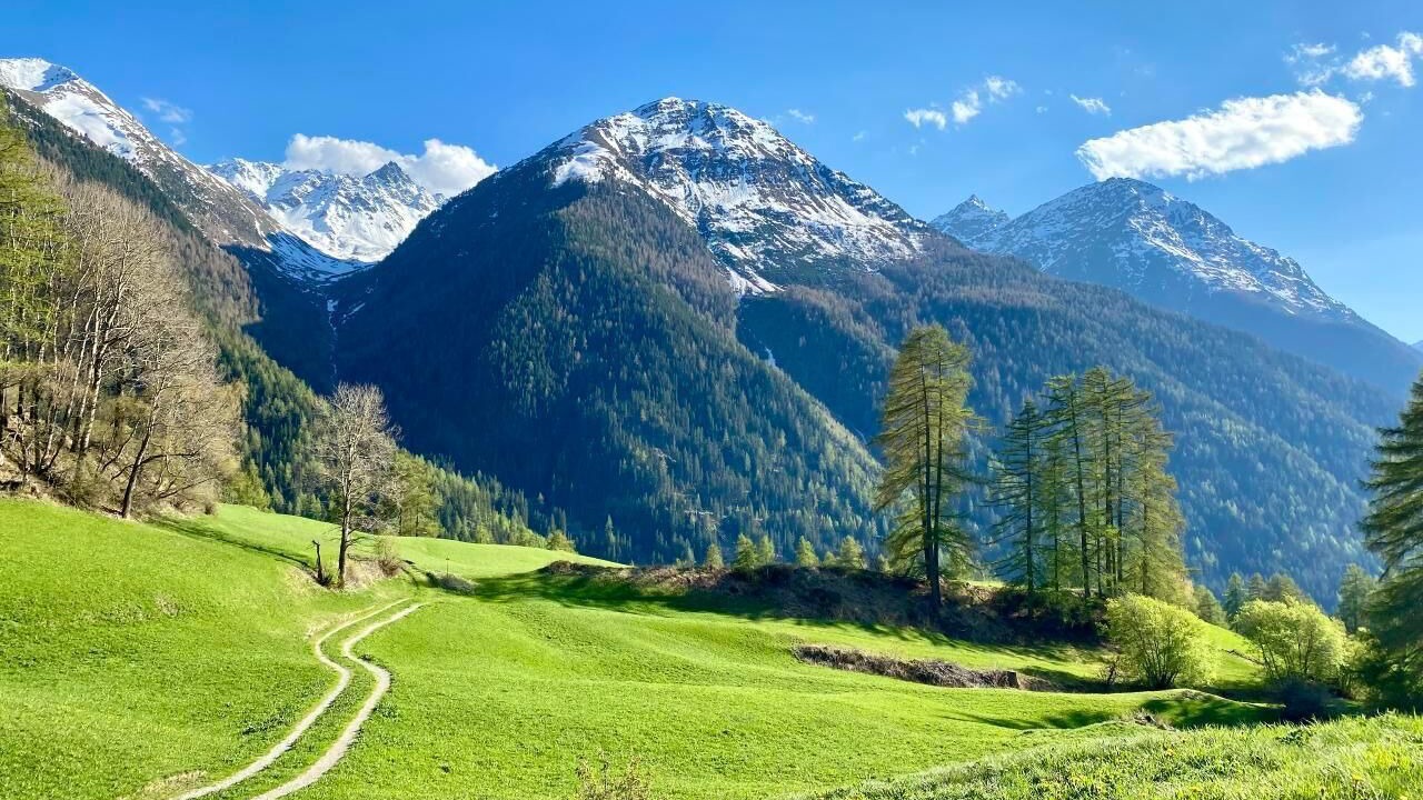 Photo of Others in Guarda