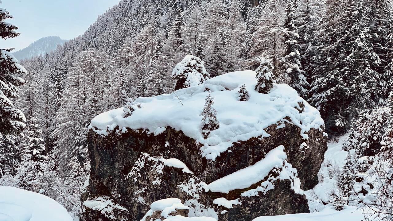 Photo of Others in Guarda