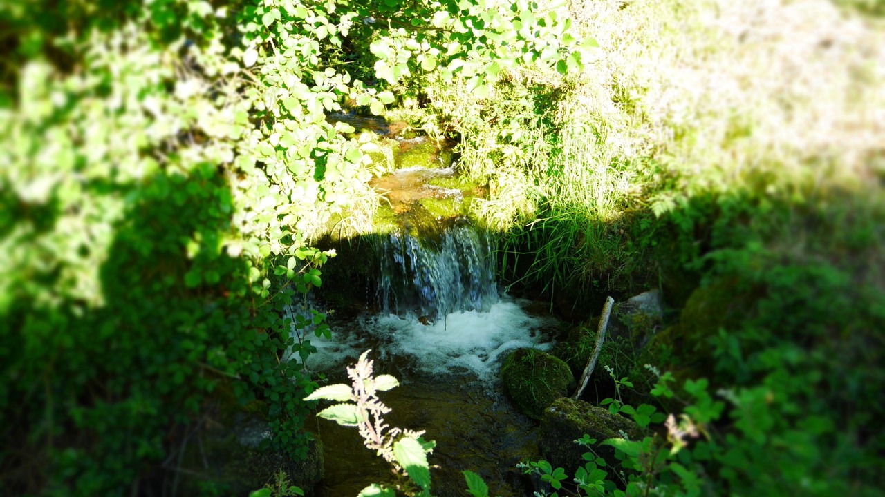 Photo of Outdoor in Saint-Nicolas-des-Biefs
