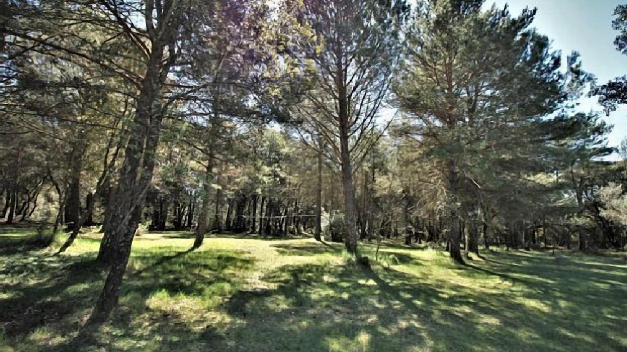 Photo of Outdoor in Beuda