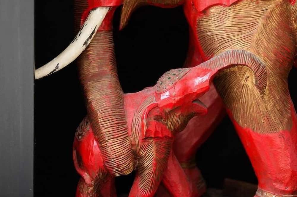 Photo of Others in Northcote