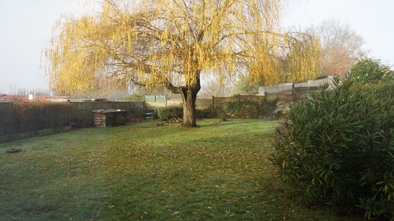 Photo of Outdoor in Bourgneuf-en-Retz