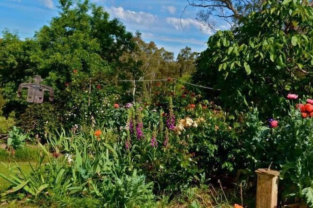 Photo of Outdoor in Trawool