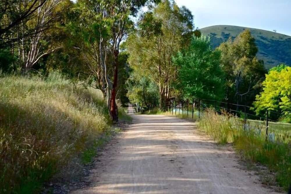 Photo of Outdoor in Trawool