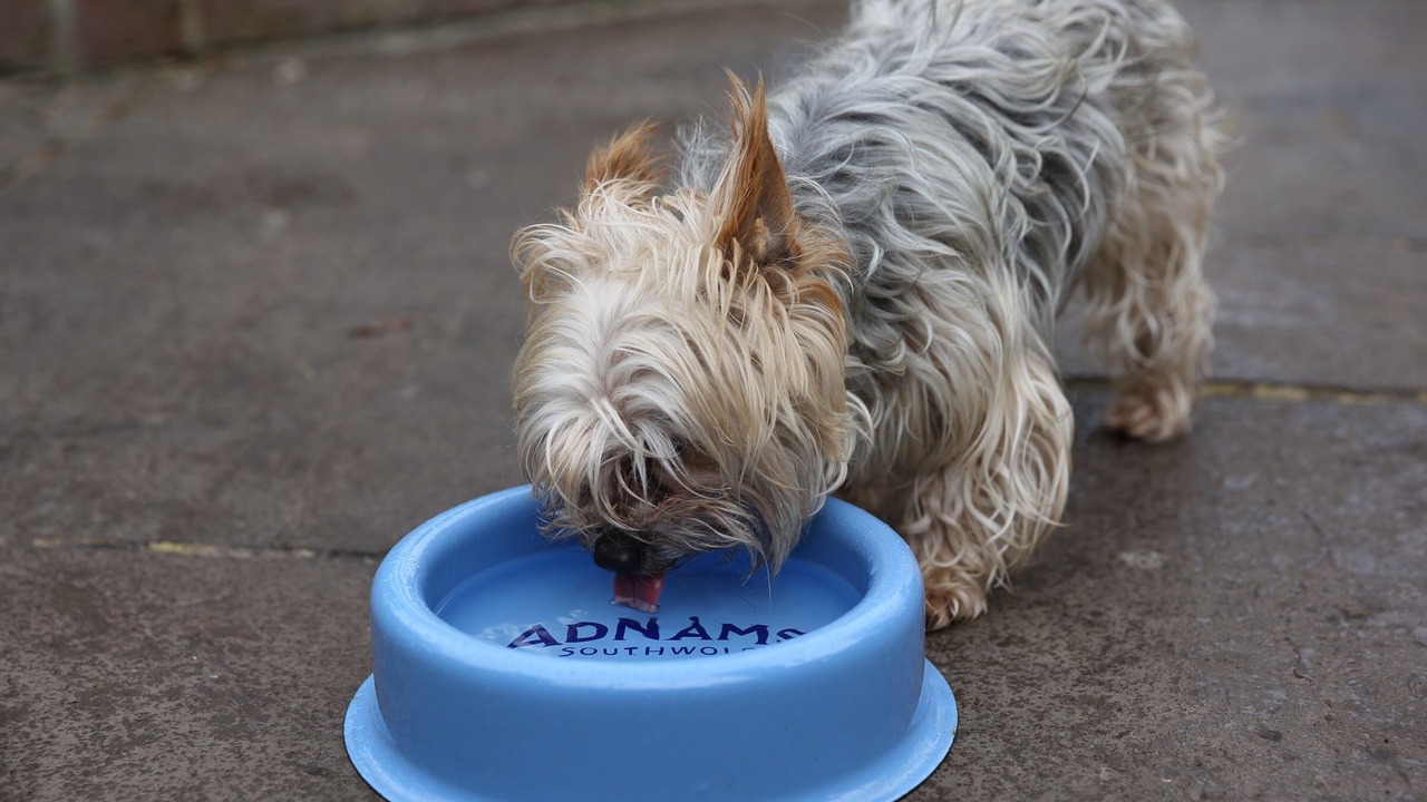 Photo of Outdoor in Horstead