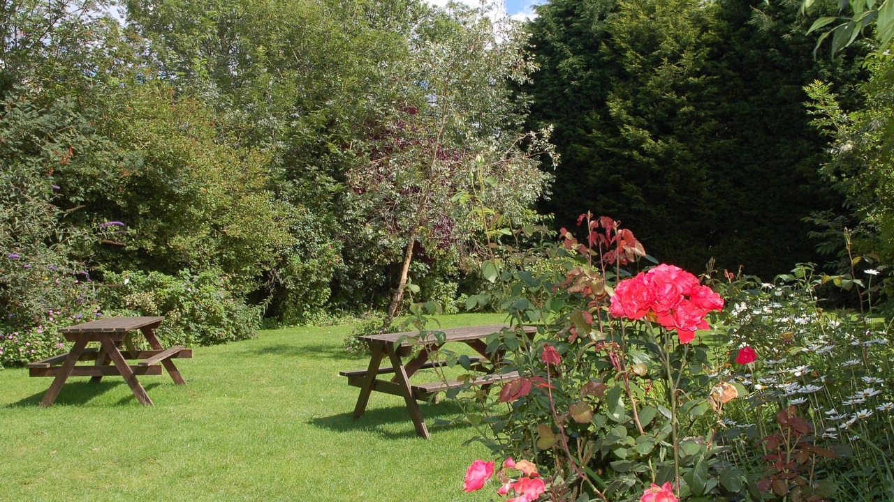 Photo of Outdoor in Horstead