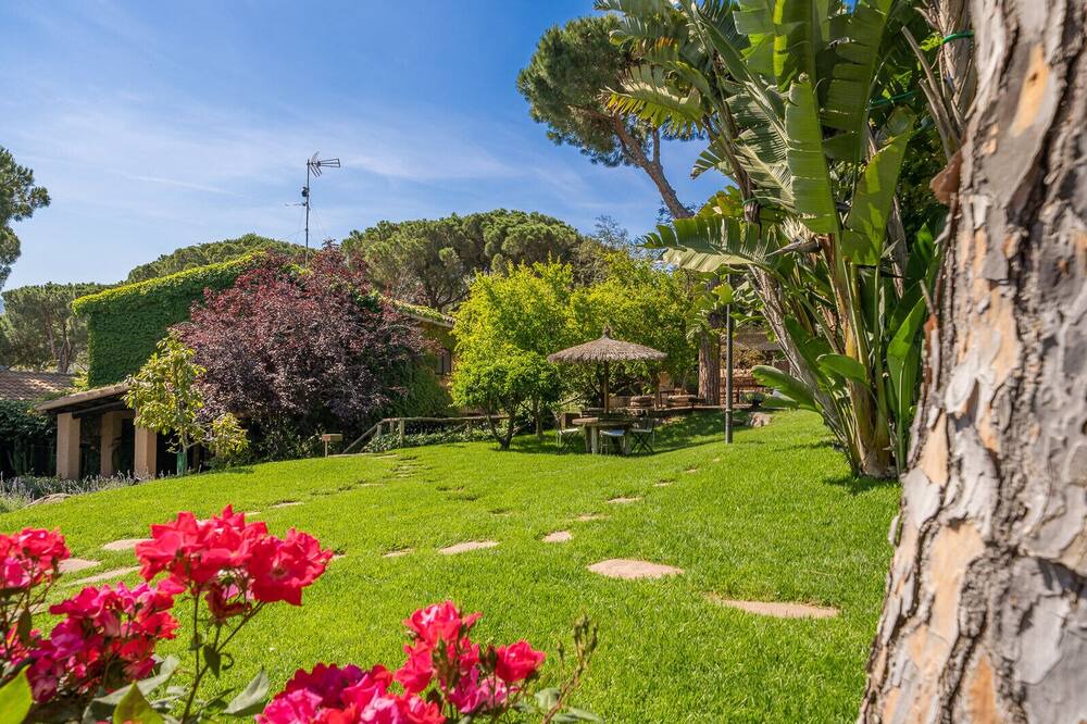 Photo of Outdoor in Cabrils