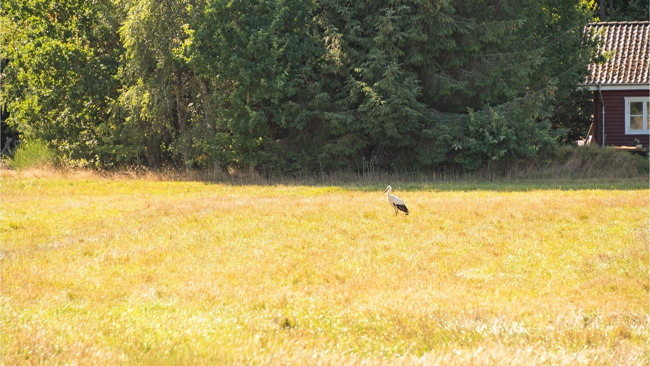Photo of Outdoor in Øksenmølle