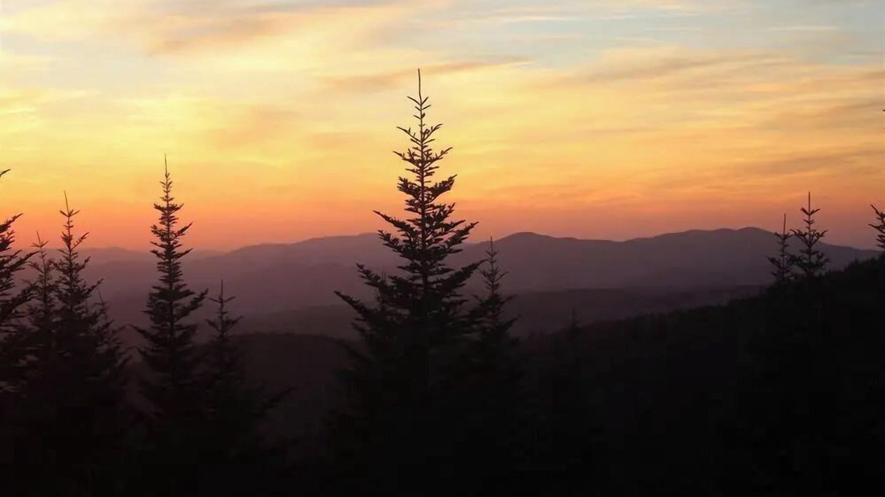 Photo of Outdoor in Max Meadows
