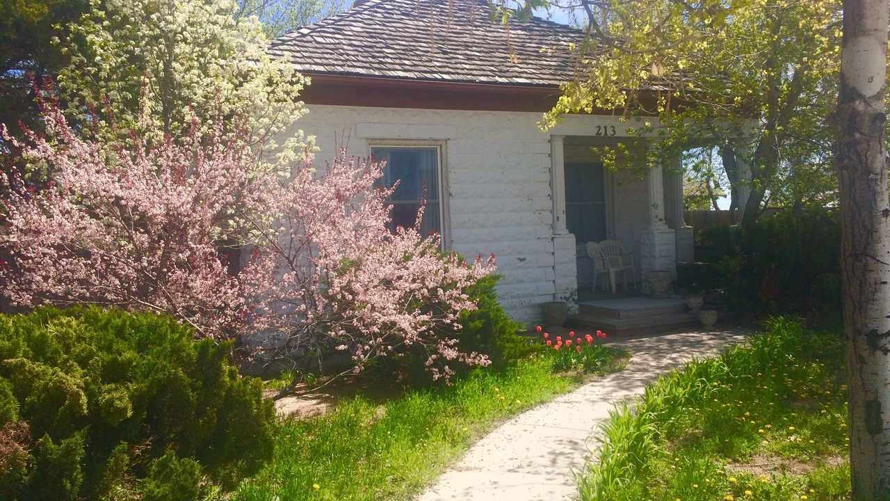 Photo of Outdoor in Gordon