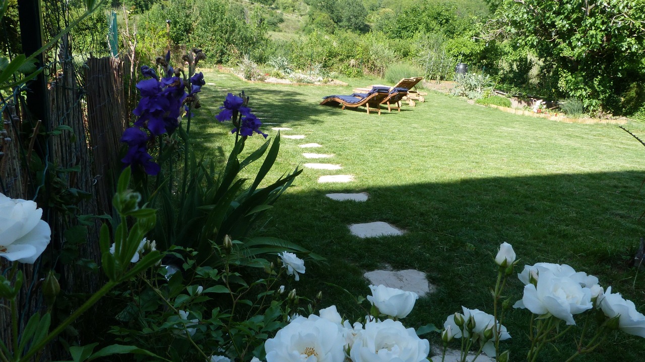 Photo of Outdoor in Saint-Andre-de-Roquepertuis