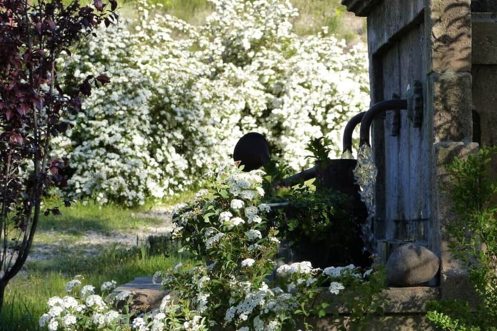 Photo of Outdoor in Puimoisson