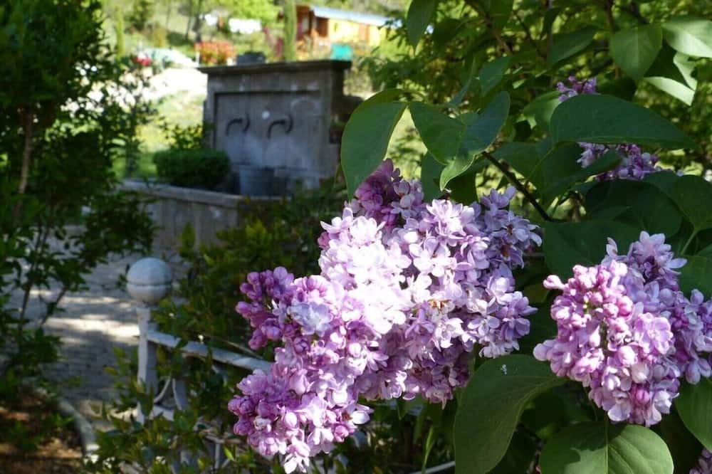 Photo of Outdoor in Puimoisson