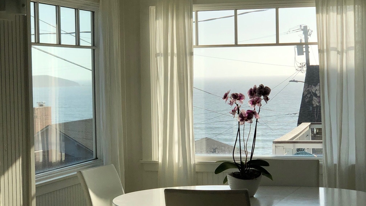 Photo of Others in Dillon Beach