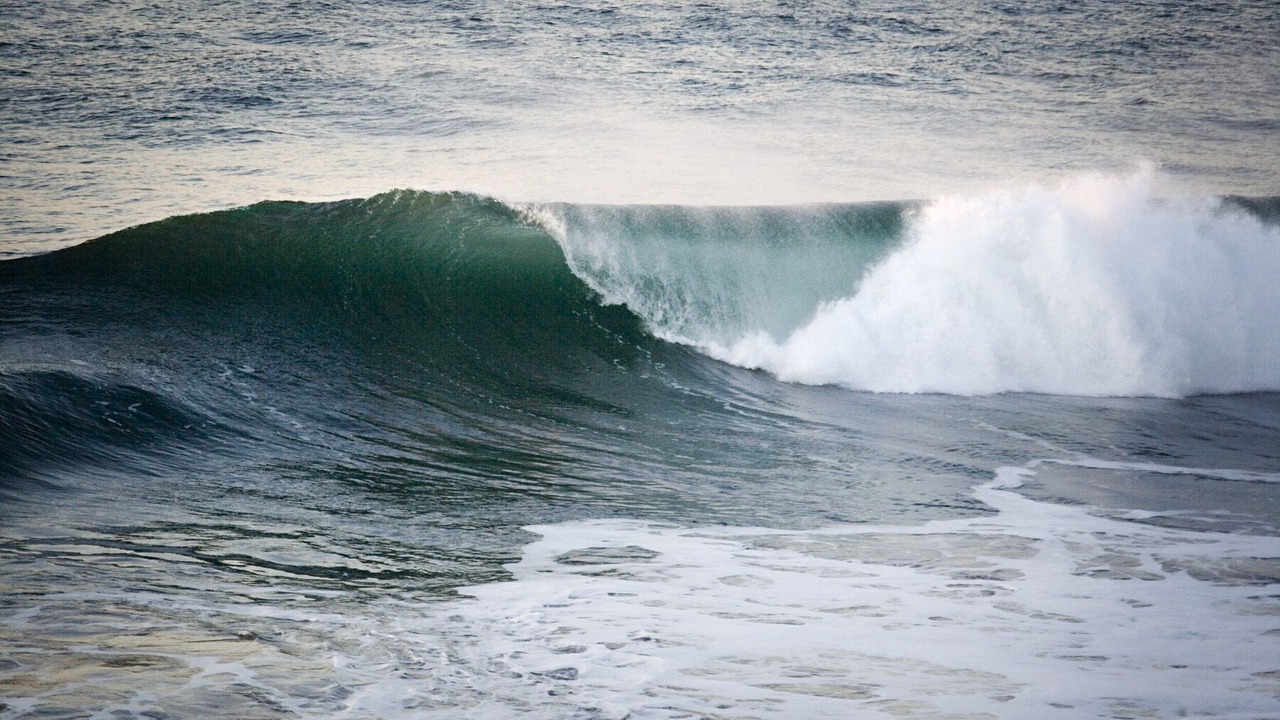 Photo of Others in Dillon Beach