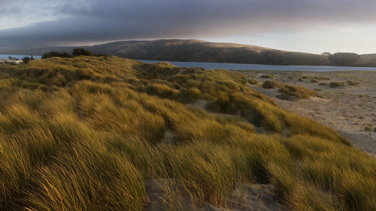 Photo of Others in Dillon Beach