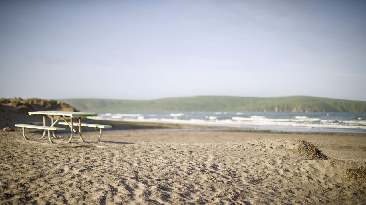 Photo of Others in Dillon Beach
