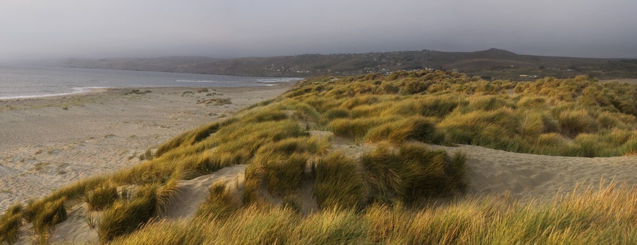 Photo of Others in Dillon Beach