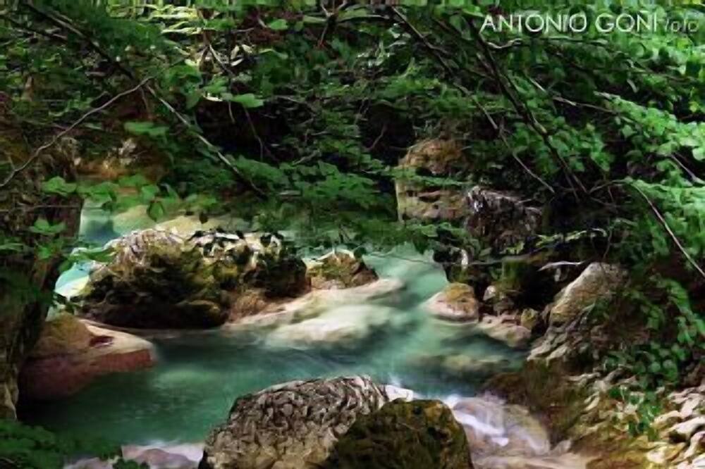 Photo of Outdoor in Garisoain