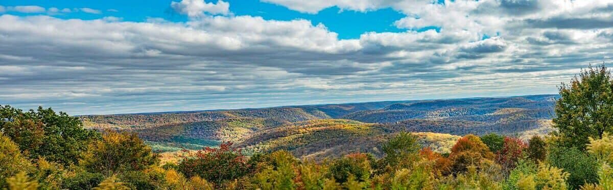 Photo of Others in Coudersport