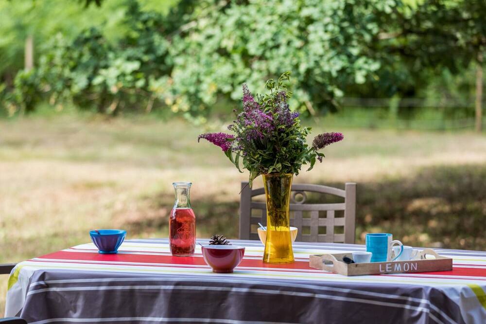 Photo of Others in Lit-et-Mixe