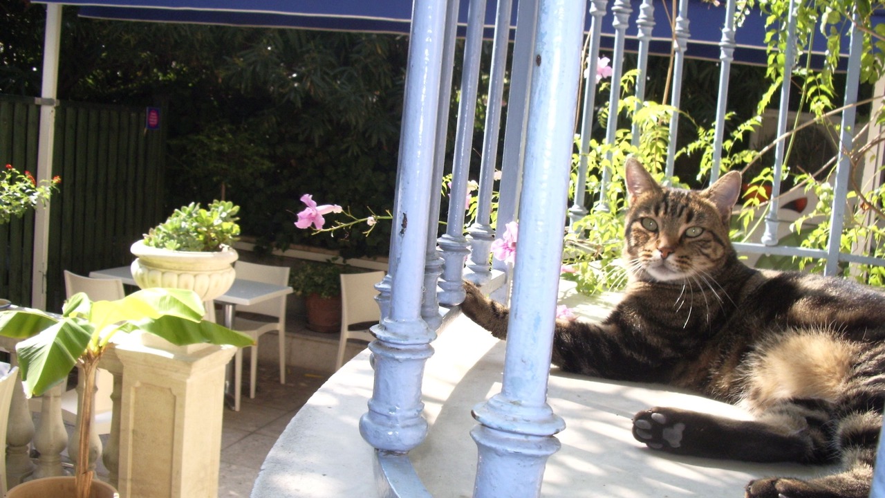 Photo of Patio Balcony in Liberation